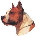AMERICAN STAFFORSHIRE TERRIER II* STICKER
