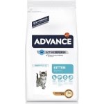 ADVANCE KITTEN CHICKEN