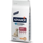 ADVANCE MAXI SENIOR 12 KG