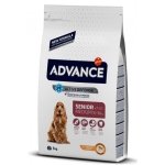 ADVANCE MEDIUM SENIOR