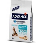 ADVANCE MOTHER DOG & INITIAL