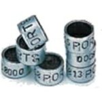 RINGS OF THE YEAR 2025