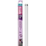 ARCADIA ORIGINAL TROPICAL