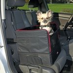 CAR SEAT FOR SMALL DOGS