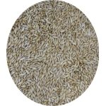 CANARY SEED 20 KG