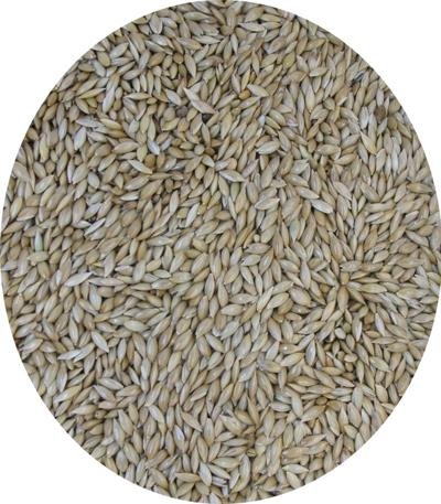 CANARY SEED 20 KG