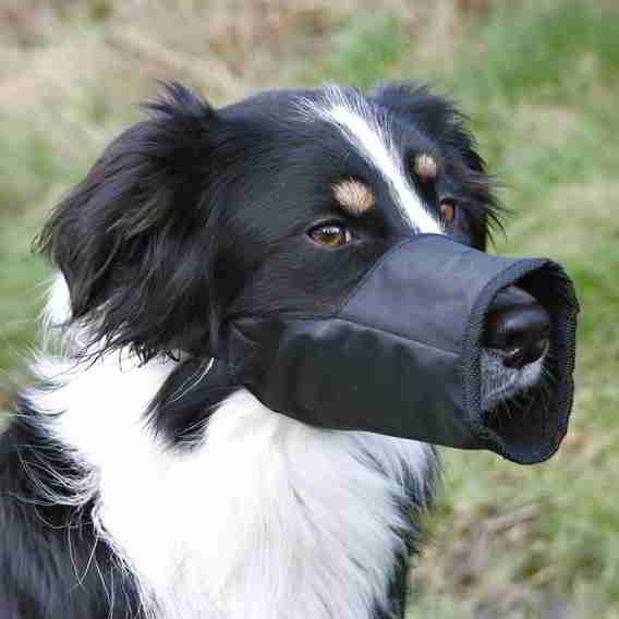 NYLON MUZZLE