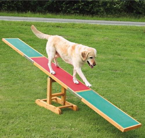 AGILITY SCALE