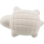 CONDITIONING BLOCK FOR AQUATIC TURTLES