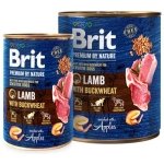 BRIT BLUE CAN LAMB