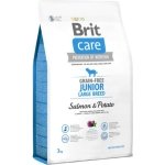 BRIT CARE GRAINFREE JUNIOR LARGE SALMON & POTATO 12 KG