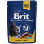 BRIT CAT CHICKEN & TURKEY 100 GR