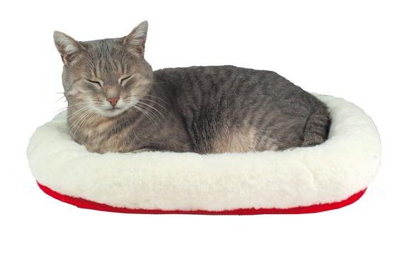 PLUSH BED FOR CATS