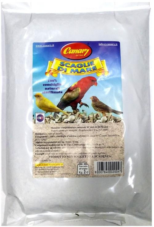 CANARY SEA SCAGLING