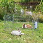 ABOUT 6 EXTERIOR ELEMENTS