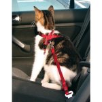SEAT BELT FOR CATS
