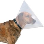 VETERINARY CONE