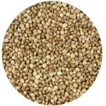 HEMP SEEDS 1 KG LOOSE