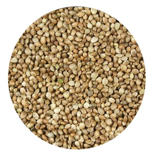 HEMP SEEDS 1 KG LOOSE