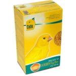 CÉDÉ POPE CANARIES WET