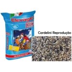 ELEVAGE CARDELLINI REPRODUCTION 15 KG