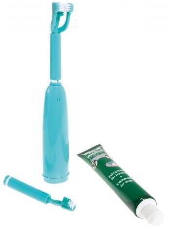 ELECTRIC TOOTHBRUSH