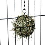 ARMILLARY SPHERE FOR VEGETABLES