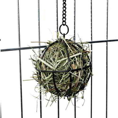 ARMILLARY SPHERE FOR VEGETABLES