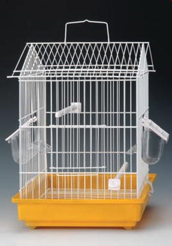 CAGE HOME