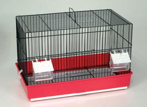 EXPO CAGE