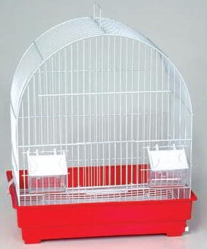 ROSY CAGE