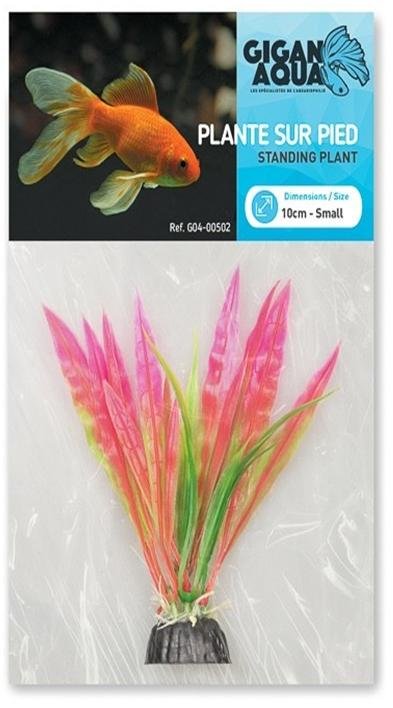 GIGANAQUA PLANT 502 10 CM