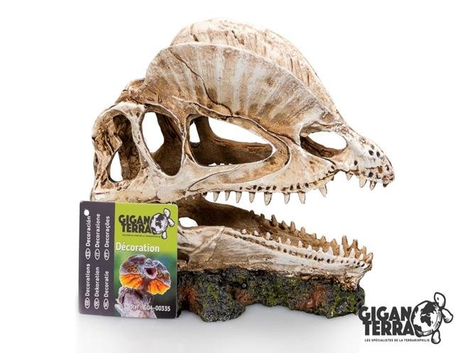 DINOSAUR GIGANTERRA 2
