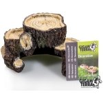 GIGANTERRA CAVE ROOTS S