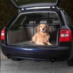 2-ELEMENT SAFETY GRILL