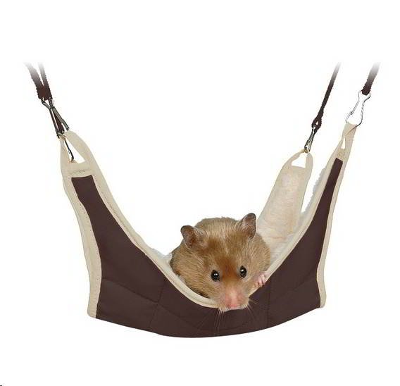 HANGING HAMMOCK