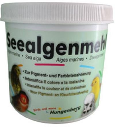 HUNGENBERG SEAWEED
