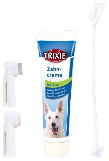 DENTAL HYGIENE KIT