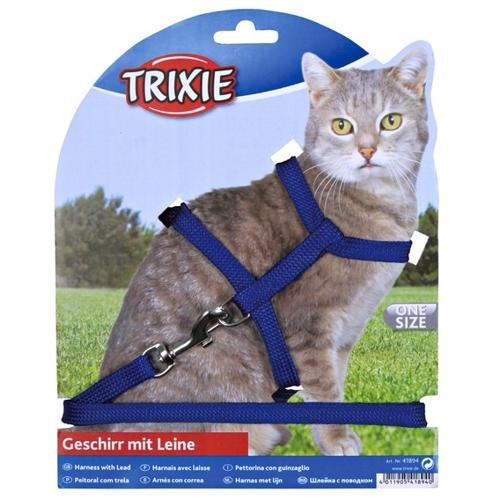KIT CHEST+NYLON LEASH