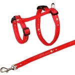 COMIC CHEST+LEASH KIT