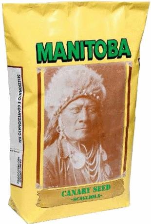 MANITOBA CANARY STONE