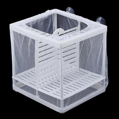 NYLON NET MATERNITY