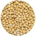 PREMIUM WHITE CORN 1 KG