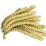 MILLET 1 KG