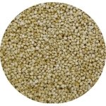 PREMIUM JAPANESE WHITE CORN 1 KG