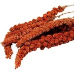 RED MILLET CORN COBS 1 KG