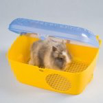 INTERIOR NEST ALCOVE