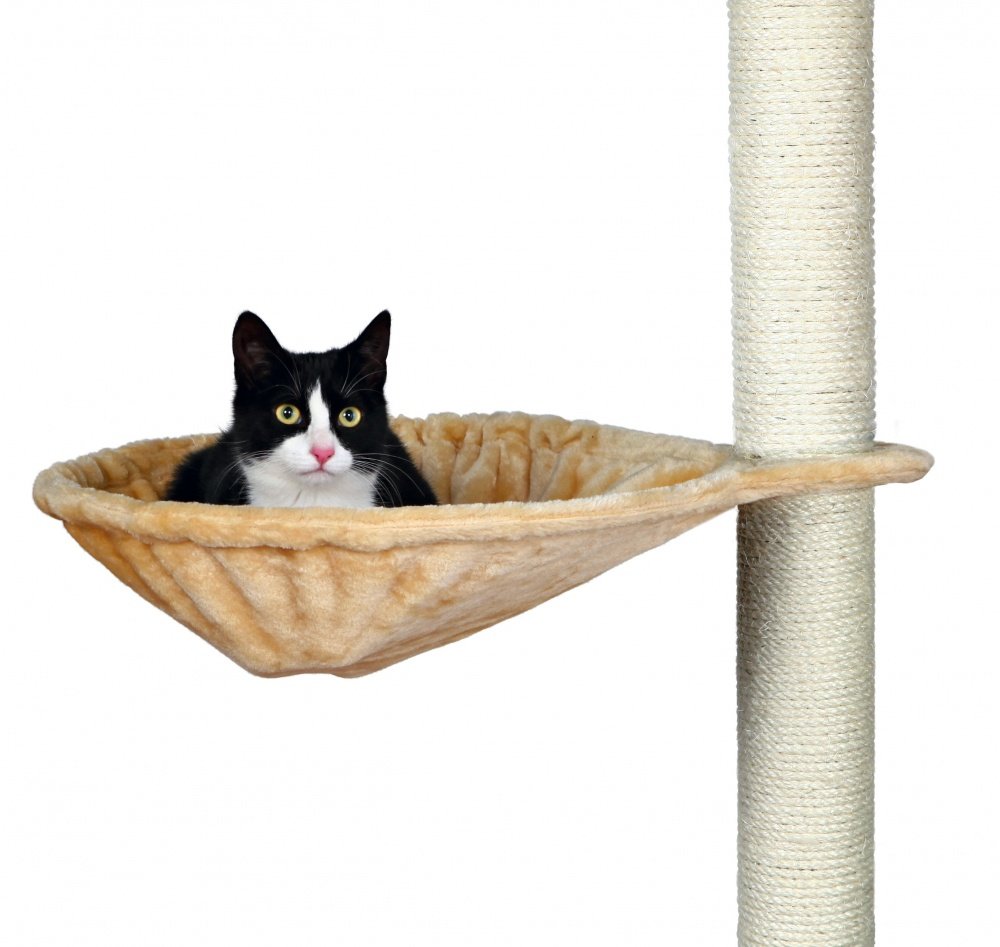 XL NICHE FOR SCRATCHING BOARD