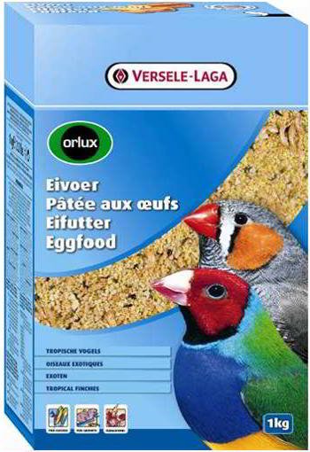 ORLUX EXOTIC DRY POWDER