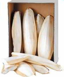 CUTTLEFISH BONE